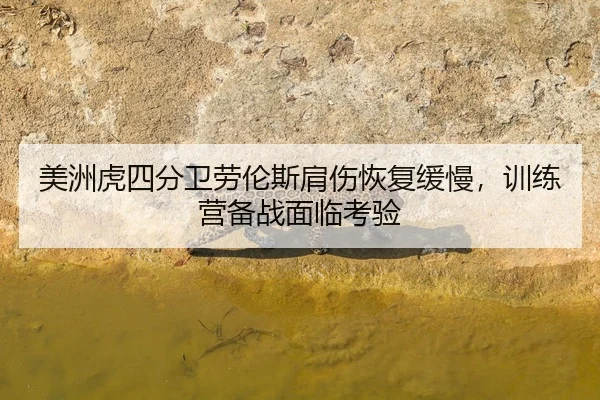 mei-zhou-hu-si-fen-wei-lao-lun-si-jian-shang-hui-fu-huan-man-xun-lian-ying-bei-zhan-mian-lin-kao-yan-3-374.jpg