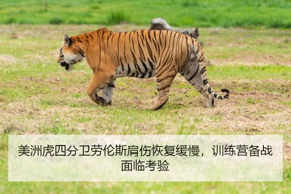 美洲虎四分卫劳伦斯肩伤恢复缓慢，训练营备战面临考验