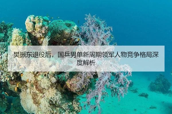 樊振东退役后，国乒男单新周期领军人物竞争格局深度解析