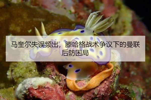 马奎尔失误频出，滕哈格战术争议下的曼联后防困局