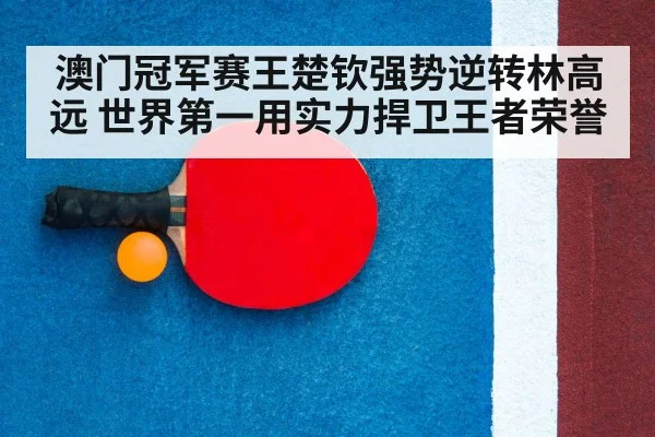 table tennis racket