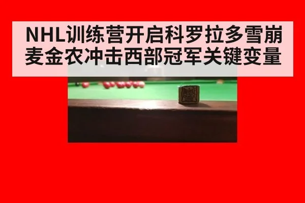 NHL训练营开启科罗拉多雪崩麦金农冲击西部冠军关键变量